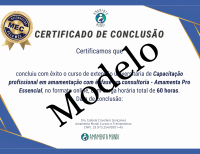 modelo CERTIFICADO MEC